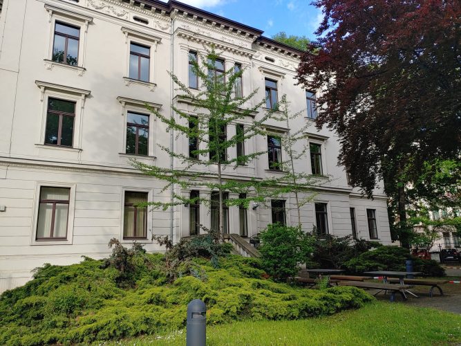 Villa mit verschiedenen Pflanzen und Wieseim Vordergrund